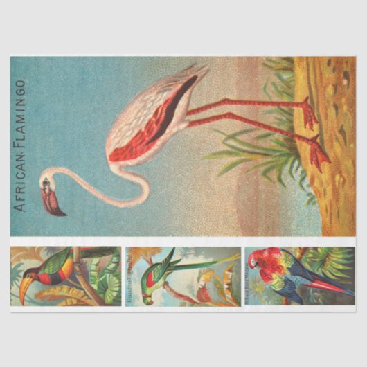 Papier Mousseline Collection d'oiseaux Flamant rose 2c Découpage Vin (Recto)