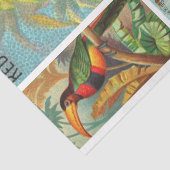 Papier Mousseline Collection d'oiseaux Macaw 2d Découpage Vintage (Détail)