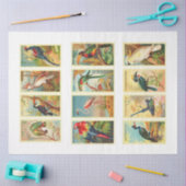 Papier Mousseline Collection d'oiseaux Papier Tissu Découpage Vintag (Artisanat)