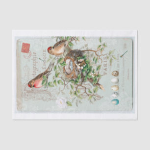 Papier Mousseline Collection d'oiseaux victoriens Vintages (pas AI)