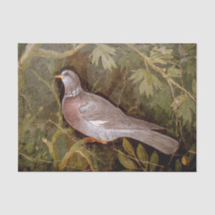 PAPIER MOUSSELINE COLLECTION POMPEII / DOVE DANS LE JARDIN