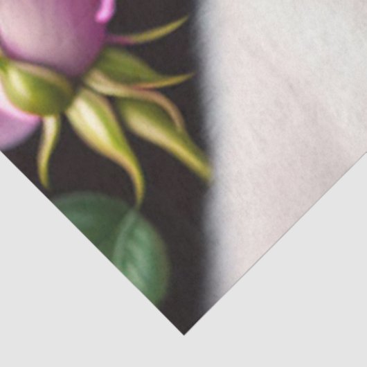 Papier Mousseline Collection rose Et Chien Blanc (Détail)