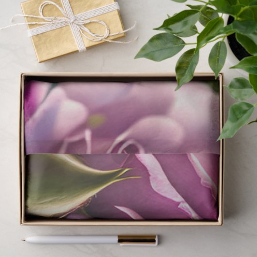 Papier Mousseline Collection rose Et Mignonne Chien (Cadeau)