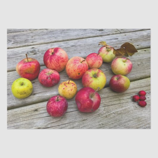 Papier Mousseline Collection Wild Apple (Recto)