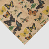 Papier Mousseline Collections de papillons Vintages chaînés (Détail)