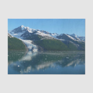 Papier Mousseline College Fjord II Photographie de l'Alaska Belle