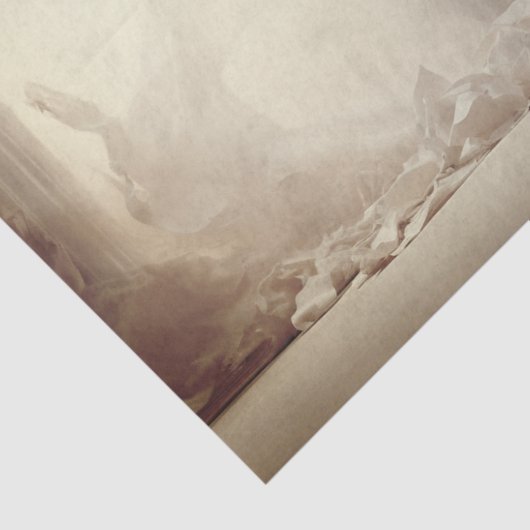 Papier Mousseline Colombe blanche (Détail)