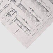 Papier Mousseline Colonnes romaines antiques Dessin architectural (Détail)