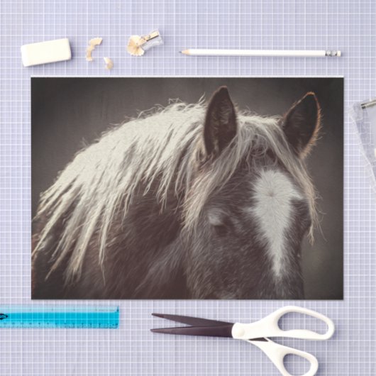 Papier Mousseline Colt Broadfoot (Artisanat)