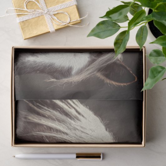 Papier Mousseline Colt Broadfoot (Cadeau)