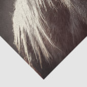 Papier Mousseline Colt Broadfoot (Détail)