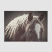 Papier Mousseline Colt Broadfoot (Recto)