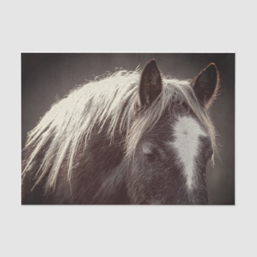 Papier Mousseline Colt Broadfoot (Recto)