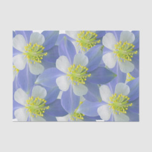 Papier Mousseline Columbine 2