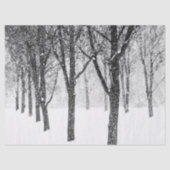 Papier Mousseline comme je suis aux arbres (Recto)