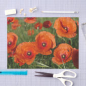 Papier Mousseline Common Poppies  (Artisanat)