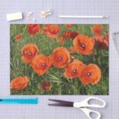 Papier Mousseline Common Poppies  (Artisanat)