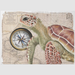 Papier Mousseline Compas de tortue marine Carte Vintage Art nautique