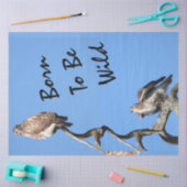 Papier Mousseline Composite de Hawk à queue rouge juvénile (Artisanat)