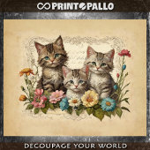 Papier Mousseline Composition de chaton mignon dans les fleurs -