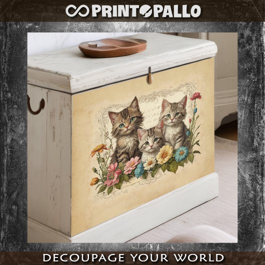 Papier Mousseline Composition de chaton mignon dans les fleurs -