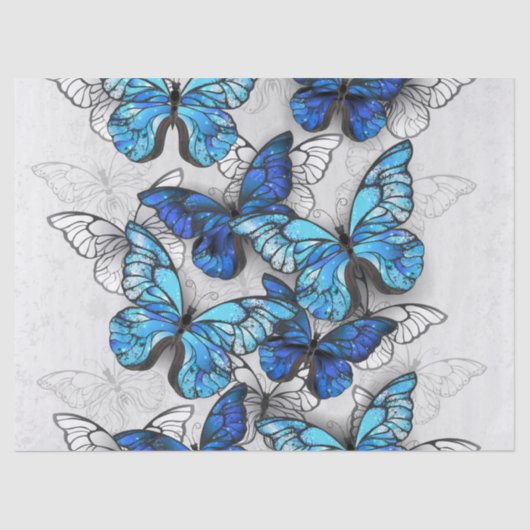 Papier Mousseline Composition des papillons blancs et bleus (Recto)