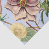 Papier Mousseline Conception botanique vintage (Détail)