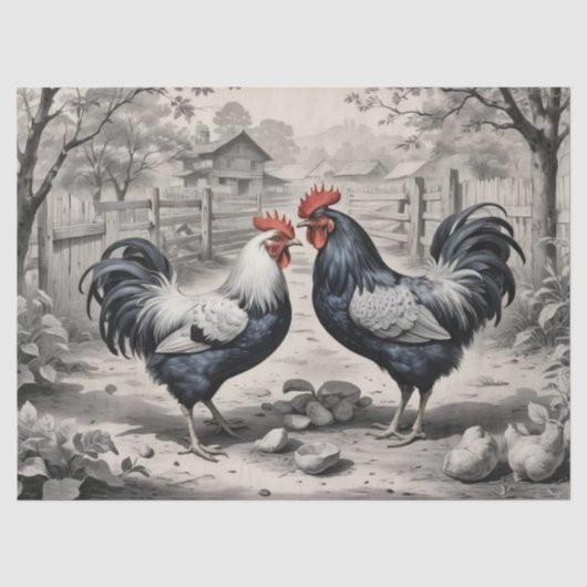 Papier Mousseline Conception de basse-cour de poulets (Recto)