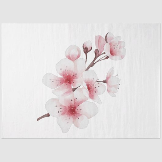 Papier Mousseline Conception Okinawa Series 30 (Recto)