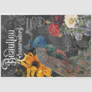 Papier Mousseline Conservatoire et jardin botanique de Peacock vinta