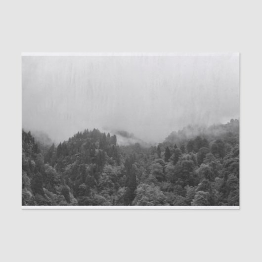 Papier Mousseline Cool, nature brumeuse magique (Recto)