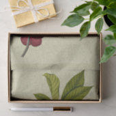 Papier Mousseline Copie botanique rose d'Apple (Cadeau)