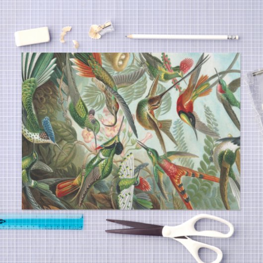 Papier Mousseline Copie d'art d'Ernst Haeckel : Trochilidae (Artisanat)