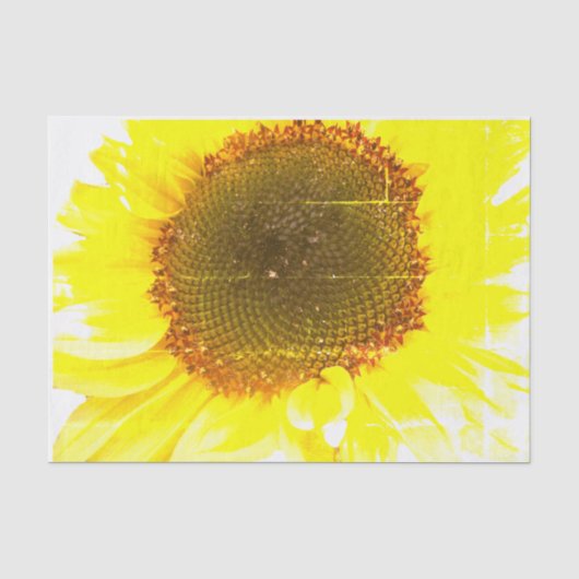 Papier Mousseline Copie de tournesol (Recto)