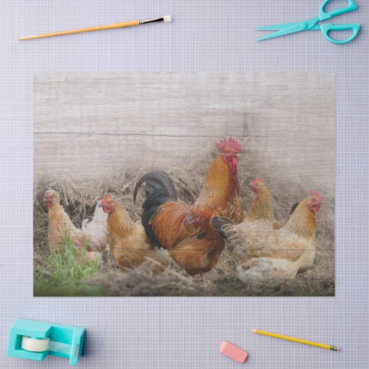 Papier Mousseline Coq et poules (Artisanat)