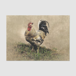 Papier Mousseline Coq vintage dans l'herbe