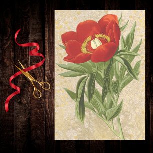 Papier Mousseline Coquelicot sur Damas Rouge Or Doré Pointillé Vinta