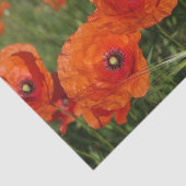 Papier Mousseline Coquelicots communs (Détail)