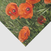 Papier Mousseline Coquelicots communs (Détail)