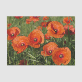 Papier Mousseline Coquelicots communs