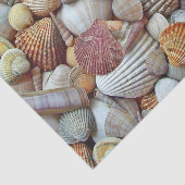 Papier Mousseline Coques de mer (Détail)