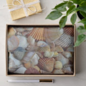 Papier Mousseline Coques de mer (Cadeau)