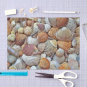 Papier Mousseline Coques de mer (Artisanat)