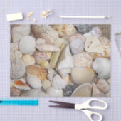 Papier Mousseline Coquillage (Artisanat)