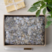 Papier Mousseline Coquillages (Cadeau)