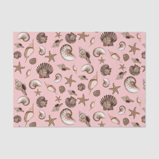 Papier Mousseline Coquillages de la Terre sur rose (Recto)