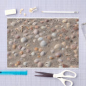 Papier Mousseline Coquillages sur la plage (Artisanat)