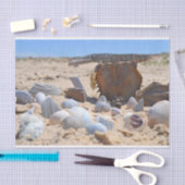 Papier Mousseline Coquillages sur la plage par Shirley Taylor (Artisanat)