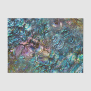 Papier Mousseline Coquille de mer iridescente en abalone de plage ar