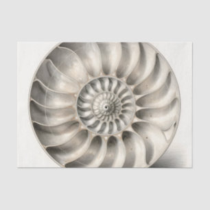 Papier Mousseline Coquille de nautile métallique Spirale Géométrique